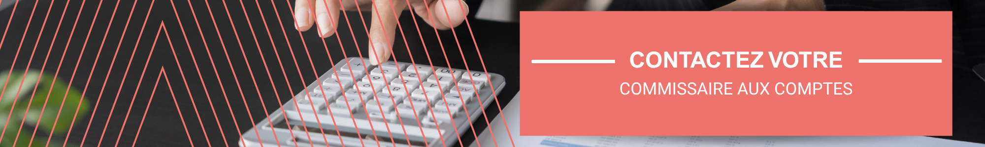 CTA Commissaire aux Comptes